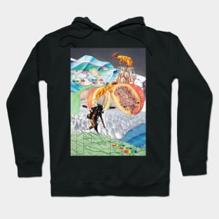 Wonderland Hoodie